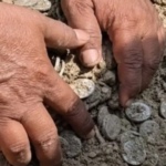 Kushinagar Mughal Era Coins