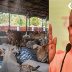 CM Yogi Cow Based Industry UP Rural Economy