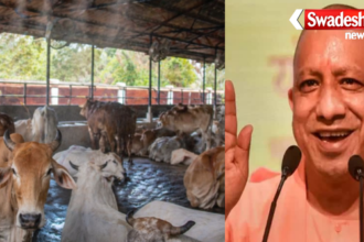 CM Yogi Cow Based Industry UP Rural Economy