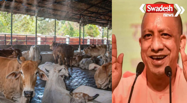 CM Yogi Cow Based Industry UP Rural Economy