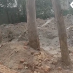 Madhupur Municipal Council Land Dispute
