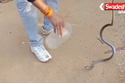 Rohtas Akodhigola Snake Bite Tragic Child Death