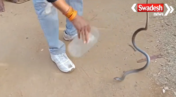 Rohtas Akodhigola Snake Bite Tragic Child Death