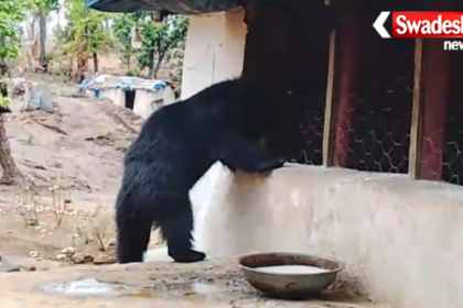 Ramvan Uchhera Bear Prasad Temple