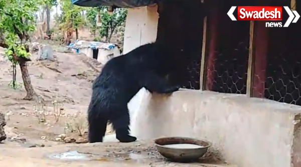 Ramvan Uchhera Bear Prasad Temple