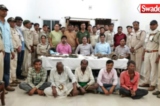 Tiger Body Parts Smuggling