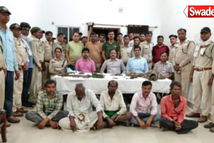Tiger Body Parts Smuggling