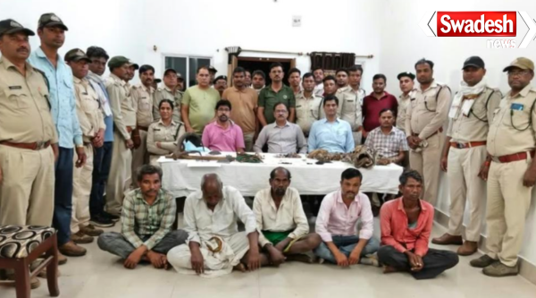 Tiger Body Parts Smuggling