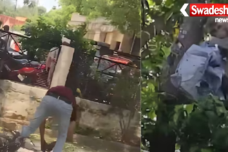 Monkey Steals Cash Bag: