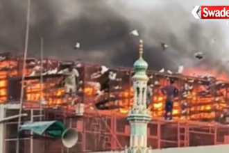 Bareilly Baradari Fire Incident Pigeons