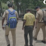 Narsinghpur Gotegaon Nephew Killed Uncle Sonu Mehra