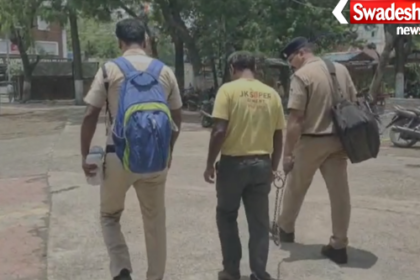 Narsinghpur Gotegaon Nephew Killed Uncle Sonu Mehra