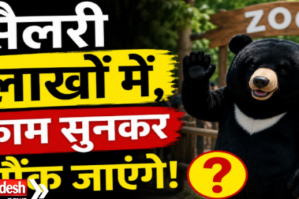 China Zoo Bear Costume Job Offer