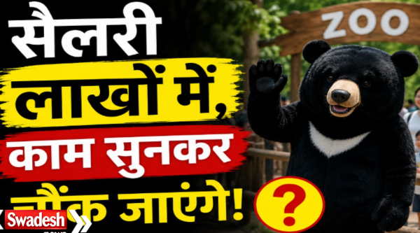 China Zoo Bear Costume Job Offer