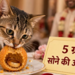 Khabar hatke