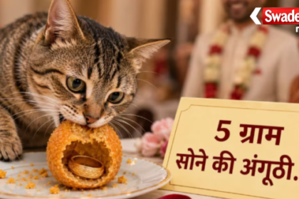 Khabar hatke