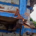 Atlas Moth