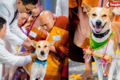 https://swadeshlive.com/khabar-hatke-alok-dog-story/