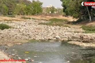 सीवन नदी सौंदर्यीकरण पर भ्रष्टाचार के आरोप