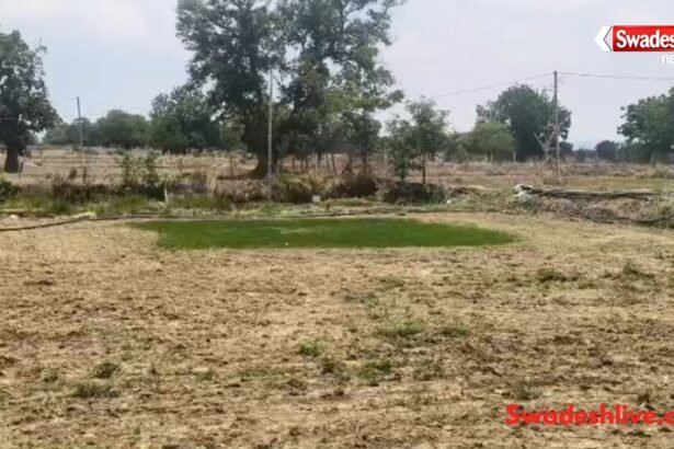बारिश का इंतजार करते खेत में खड़े किसान, मानसून में देरी से धान की खेती प्रभावित