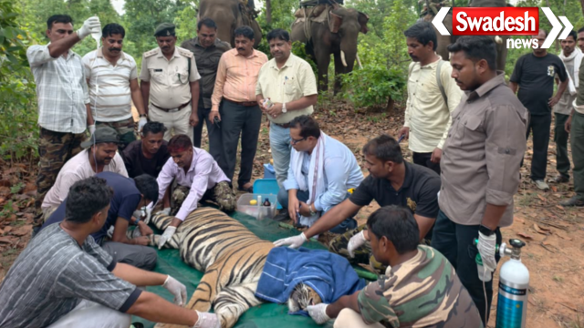Bandhavgarh Tiger Reserve Rescue