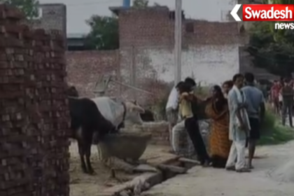 Firozabad Naali Dispute Stones Pelting