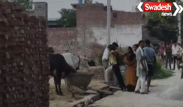 Firozabad Naali Dispute Stones Pelting
