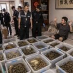 China Taizhou Pythons Flat Found Electricity Bill