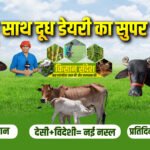 gir-cow-vs-hf-cow-milk-production-dairy-farming-profit-comparison