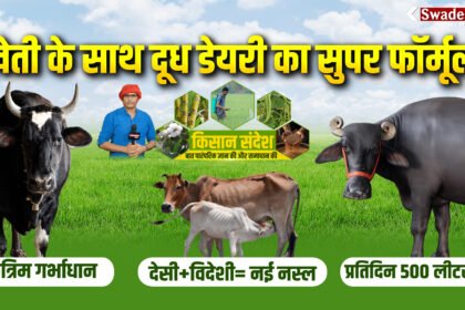 gir-cow-vs-hf-cow-milk-production-dairy-farming-profit-comparison