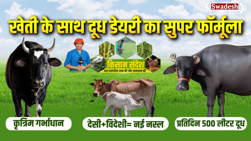 gir-cow-vs-hf-cow-milk-production-dairy-farming-profit-comparison