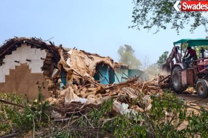 Forest Encroachment