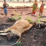 Lightning Strike in Pakhanjur