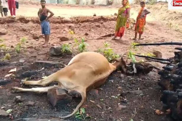Lightning Strike in Pakhanjur