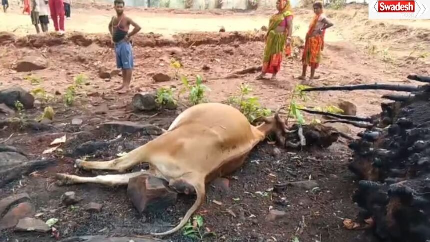 Lightning Strike in Pakhanjur