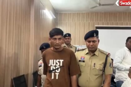 Cannabis Smuggling Case