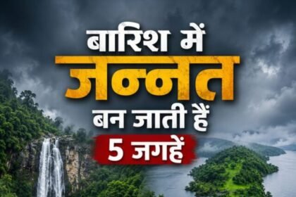 WhatsApp Image 2026-06-06 at 7.19.35 PM