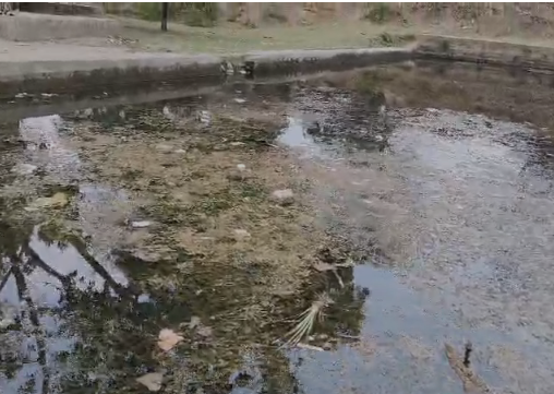 Pond Negligence