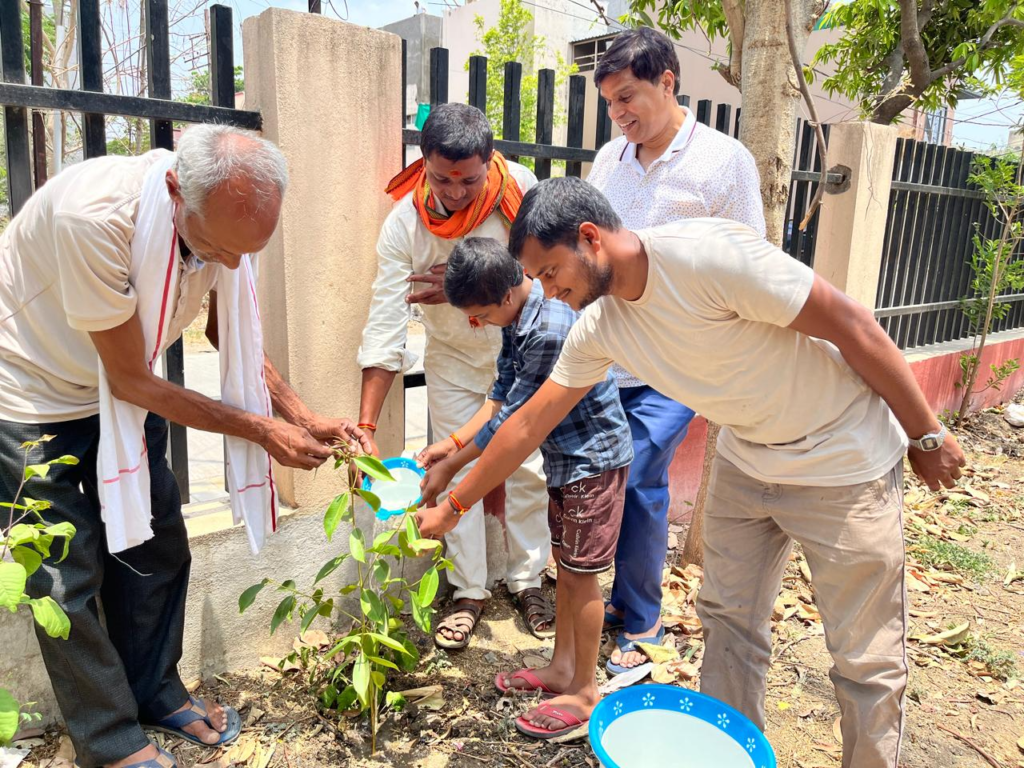 Tree Plantation