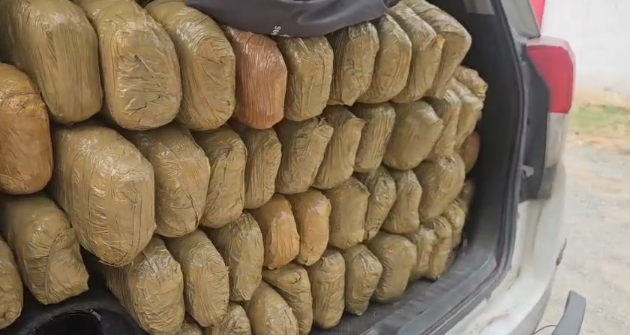 Raigarh Ganja Seized
