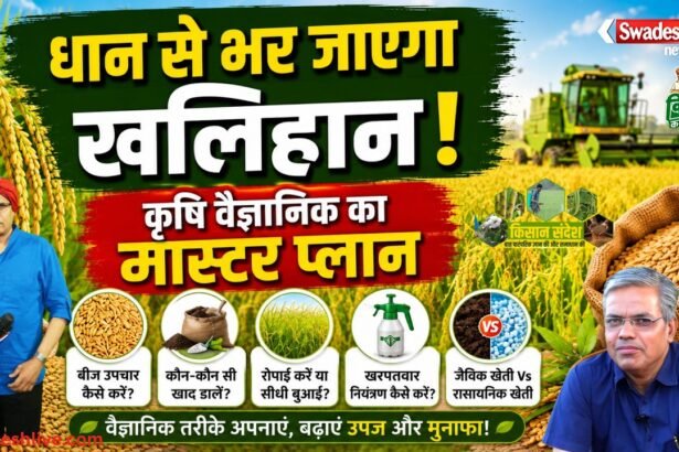 isan-sandesh-07-kharif-fasal-suman-prasad-deputy-director-of-agriculture