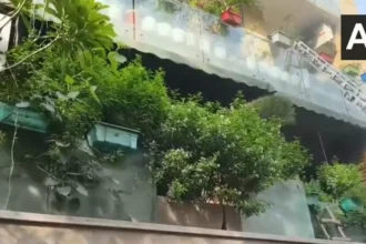 Delhi New Friends Colony Fire Accident