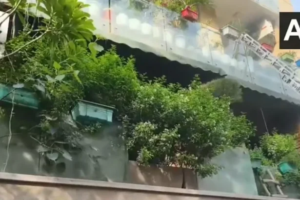 Delhi New Friends Colony Fire Accident
