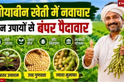 soybean-ki-kheti-kaise-karen-beej-urvarak-keet-niyantran-sarkari-yojana-kisan-sandesh