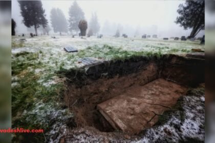 China Fake Death Case