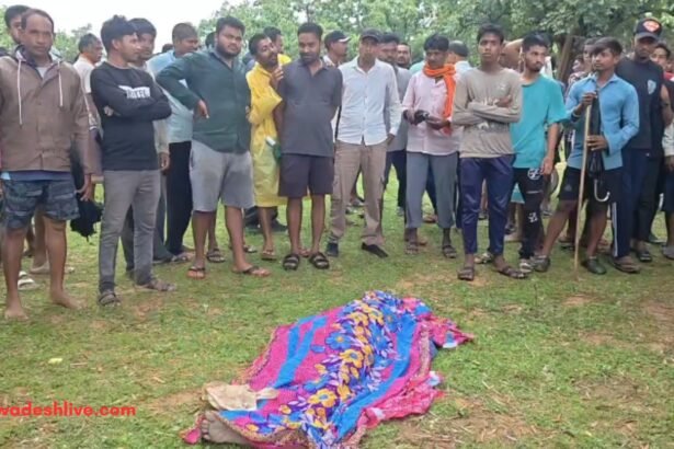 Gariaband River Accident