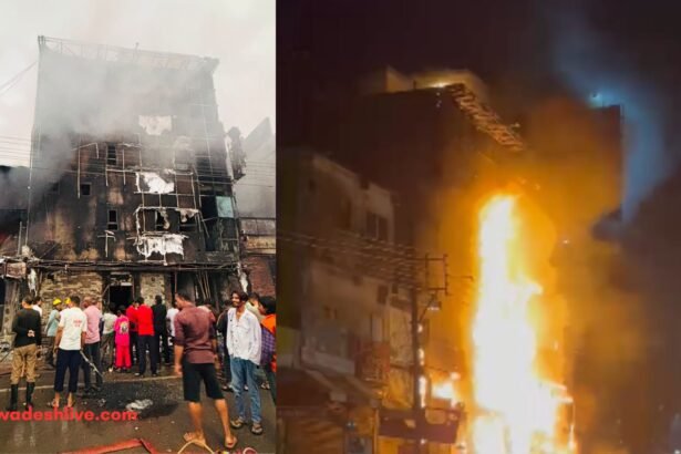 Raipur Octopus Bar Fire