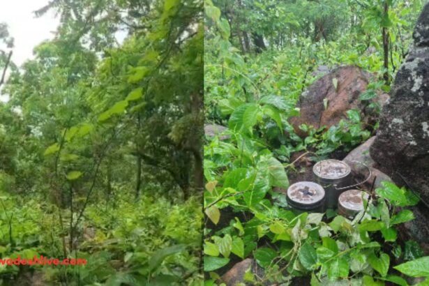 Tiffin IED Recovered