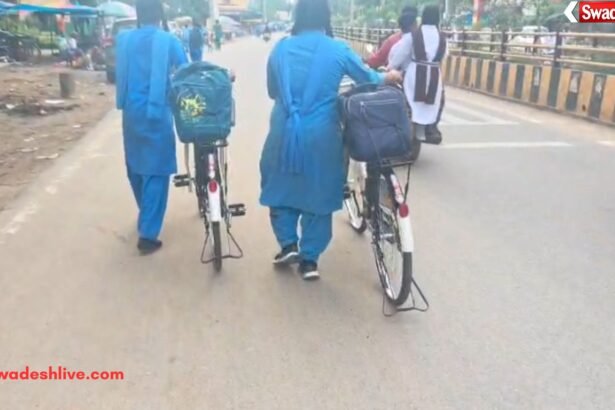 Cycle Distribution