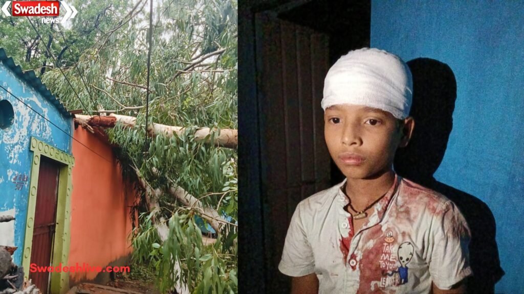 Korba Tree Fall Incident